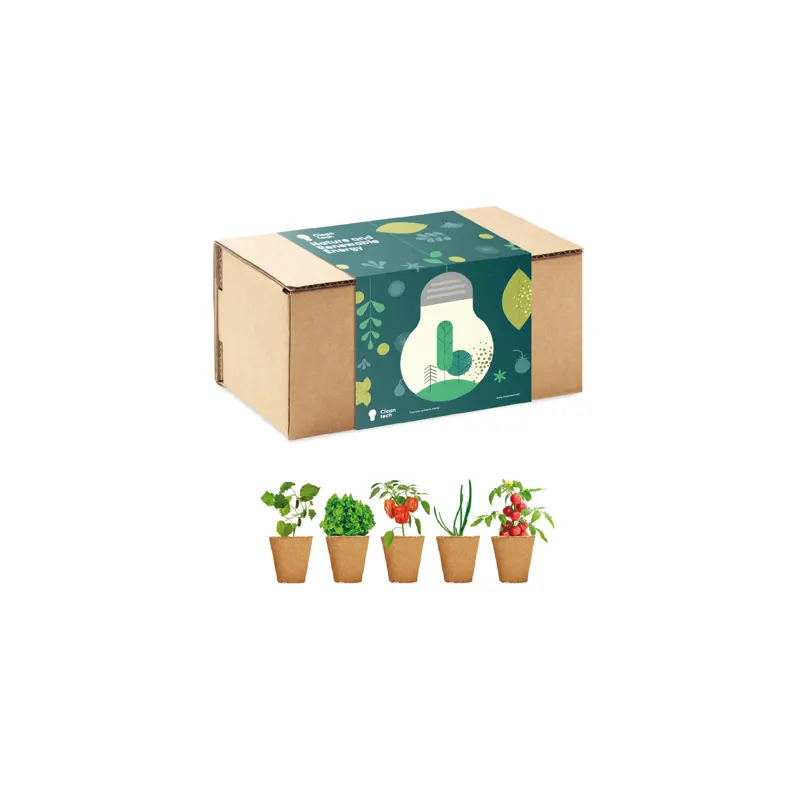 Productfoto van een kartonnen doos met groene banderol, met daaronder vijf kleine potjes met verschillende planten.