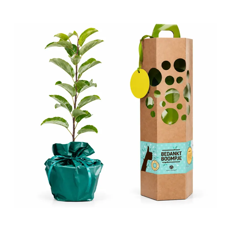Jonge appelboom in een turquoise verpakte pot naast een hoge kartonnen geschenkdoos met groene handgreep en label ‘Bedankt Boompje’.