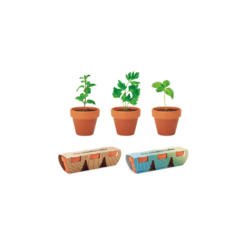 Drie terracotta potjes met aarde en opkomende plantjes, met twee bedrukte kartonnen verpakkingen eronder.