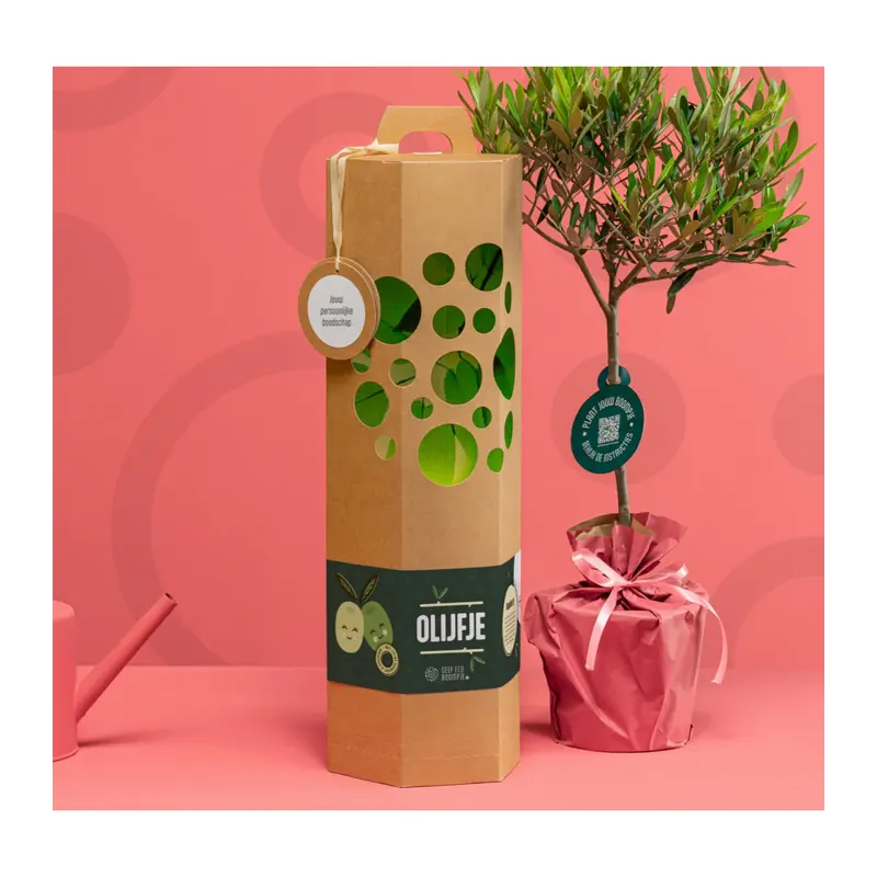 Olijfboompje in roze ingepakte pot naast een kartonnen cadeauverpakking met opschrift ‘Olijfje’, op een roze achtergrond.