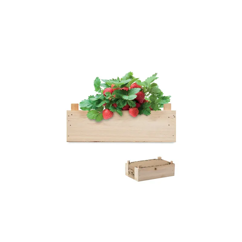 Licht houten kistje met een aardbeienplant met rode aardbeien; rechtsonder een kleine afbeelding van het kistje schuin van boven.